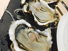 -LENBACH兰巴赫西餐啤酒坊(大连东港店)