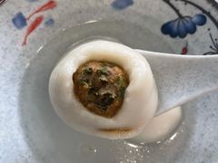 菜肉汤圆-高行汤团店(金高路店)