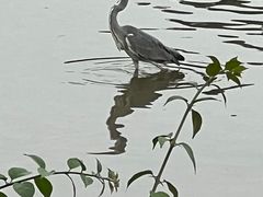 -海珠湖公园