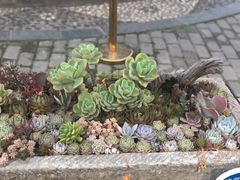 -天怡·鱼工厂(临江店)