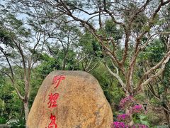 -野狸岛