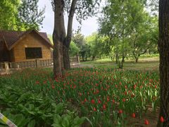 -长春公园(普阳街道)