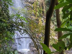 -鼎湖山风景区
