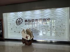 -青岛贝壳博物馆