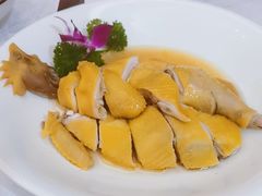 隔水蒸鸡-畔山酒店中餐厅