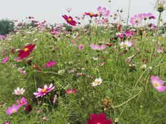 -汉长安城未央宫国家考古遗址公园