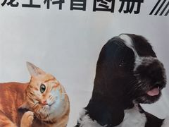 -宠颐生宠物医院外科·内科·皮肤科·影像科(石龙店)