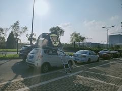 -南汇嘴观海公园