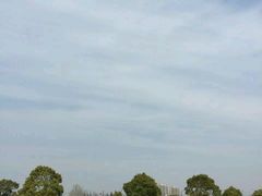-无忧学车·大众驾校(长宁校区)