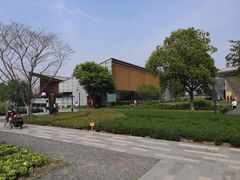 -田园东方蜜桃村的田野营地
