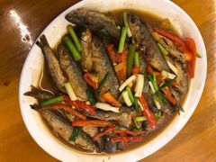 红烧小河鱼-菜当家