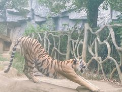 -常州淹城野生动物世界