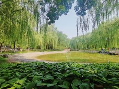 -丰台科技园生态主题公园