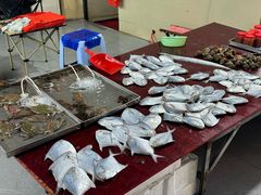 -登州市场(登州路店)