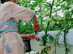 -长洲岛都市农业公园