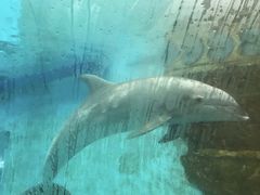 -波塞冬旅游度假区