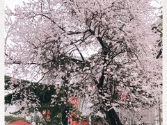 -比亚迪汽车王朝网(易能环耀银海大厦城市展厅)