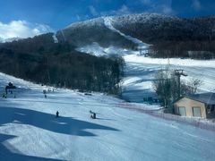 -亚布力新体委滑雪场