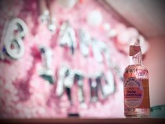 -百好乐宠物友好餐厅(朝外大街店)