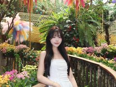 -正佳雨林生态植物园