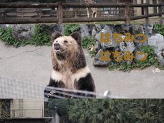 -成都动物园