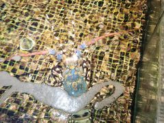 -海鲜e族(马王堆店)