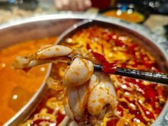 美蛙-销魂美蛙鱼头火锅(上海首店)