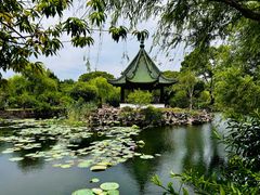 -无锡蠡湖国家湿地公园-蠡园