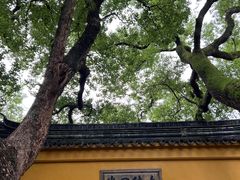 -西园戒幢律寺