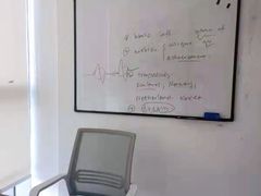 -菠萝国际教育专注Alevel·IGCSE·IB·AP·托福雅思培训辅导(静安校区)