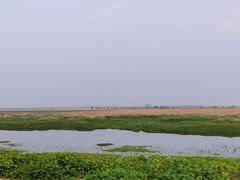 -湖南东洞庭湖国家级自然保护区