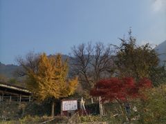 -塔川景区