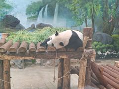 -杭州动物园
