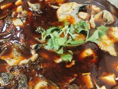 -云溪河冷锅鱼(成都玉林小吃街店)