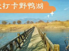 -野鸭湖国家湿地公园