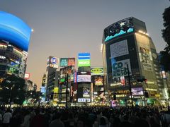 -涩谷区