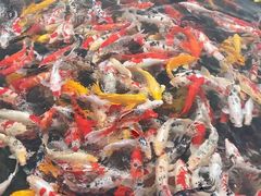 -宁波杭州湾国家湿地公园