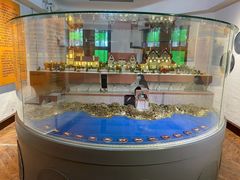 -青岛德国总督楼旧址博物馆