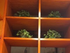 -古觉面片(科技路天朗蓝湖树店)