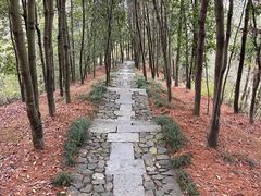 -梦姑塘文化公园