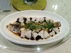 特色蒸桂鱼-古南都·老广东酒楼(龙江店)