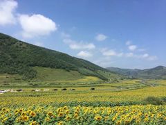 -塞罕坝国家级自然保护区