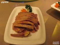凤鹅-新南华大酒店(广中店)