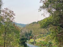 -红山村