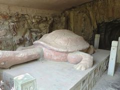 -上海佘山国家森林公园天马山园