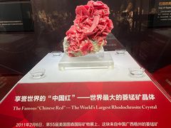-湖南省地质博物馆