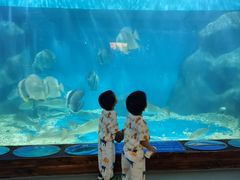 -上海长江河口科技馆