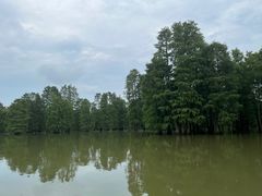 -池杉湖湿地公园