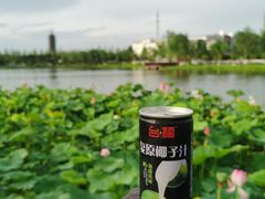 -西海子公园
