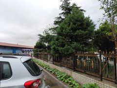 -ETC速通卡(六里桥服务网点)